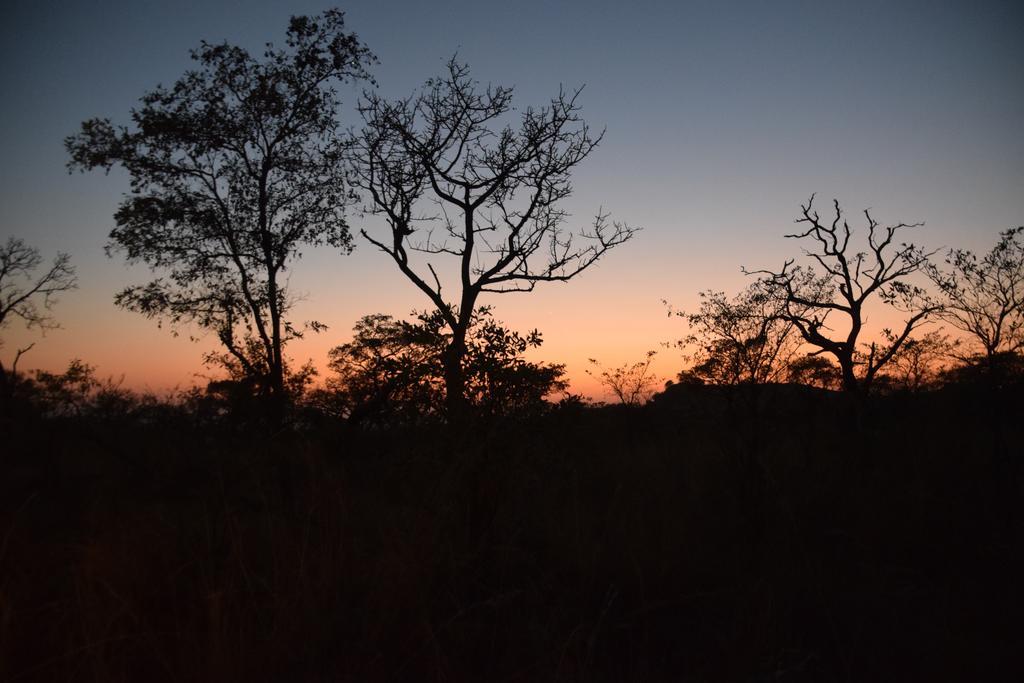 Tented Adventures Pretoriuskop Rest Camp Экстерьер фото