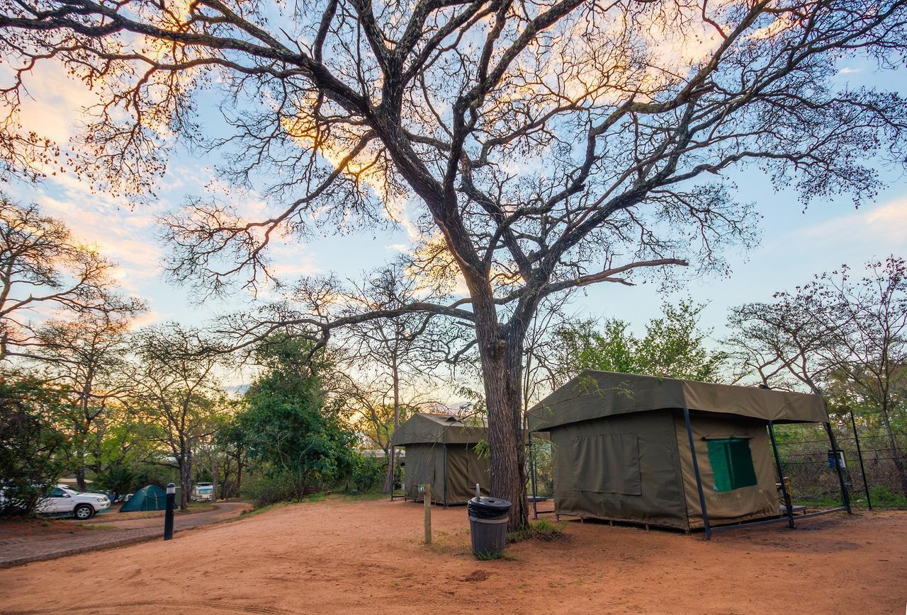 Tented Adventures Pretoriuskop Rest Camp Экстерьер фото